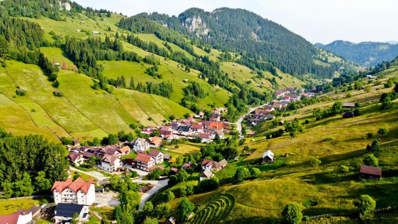 Pensiunea Malina Moeciu De Sus Dış mekan fotoğraf
